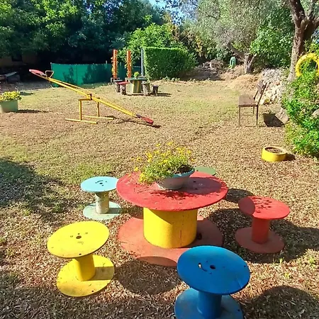 Summer Dream * רוביני