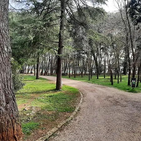 Summer Dream Apartman *